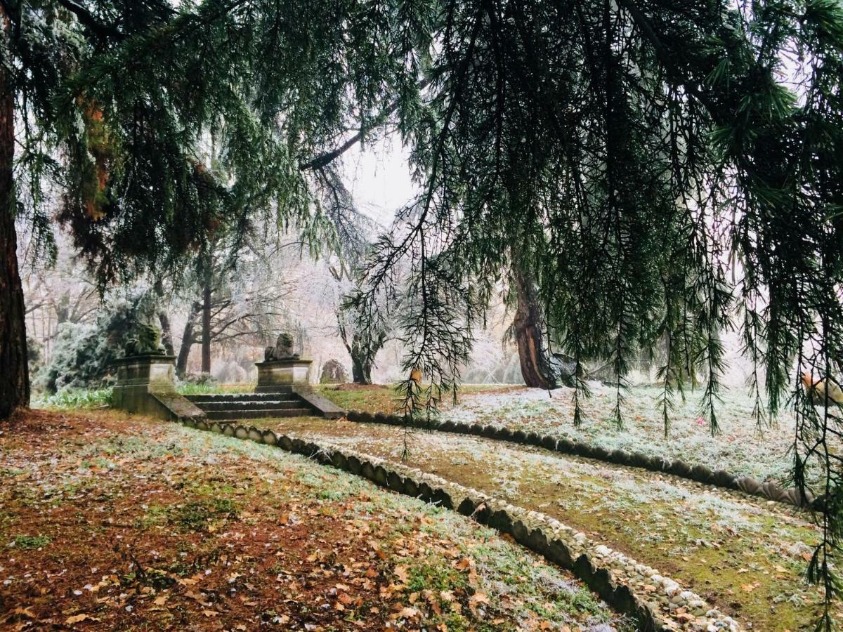 Charme Of Villa Capannina Novi Ligure Dış mekan fotoğraf