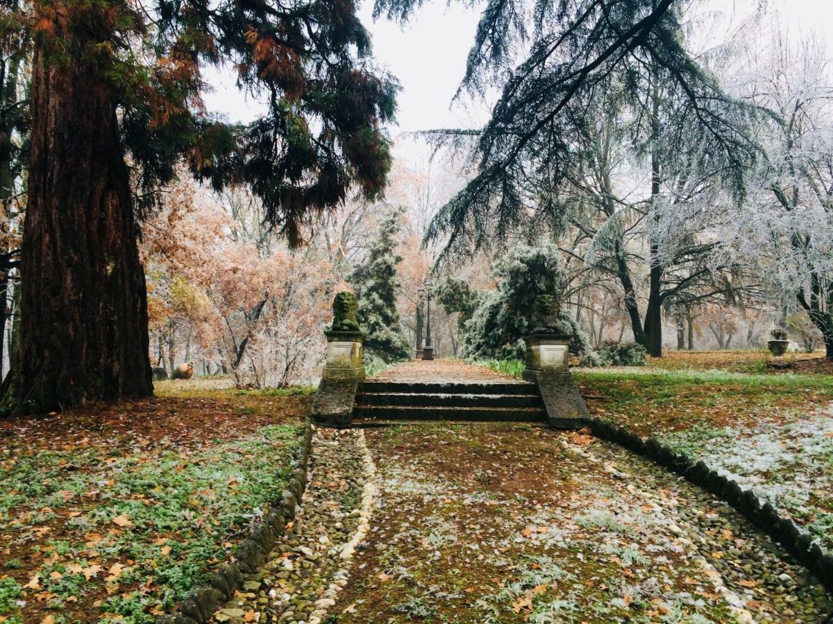 Charme Of Villa Capannina Novi Ligure Dış mekan fotoğraf